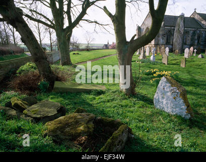 Rudston Kirchhof, East Yorkshire: eine rekonstruierte prähistorische Grabhügel Cist & höchste Menhir in Großbritannien, eine c 7,7 m Gritstone-Säule. Stockfoto