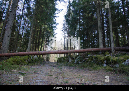 Hindernis in Form einer gefallenen Kiefer über einen Feldweg in den Wald. Aus der Provinz Småland in Schweden. Stockfoto