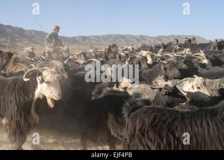 071109-A-2013C-086 eine afghanische Hirte pfeift und schreit seine Ziegenherde gemeinsam bewegen, indem man eine 173. Luftlandebrigade Patrol base im östlichen Provinz Paktika, Afghanistan, 9. November zu halten.  SPC. Micah E. Clare Stockfoto