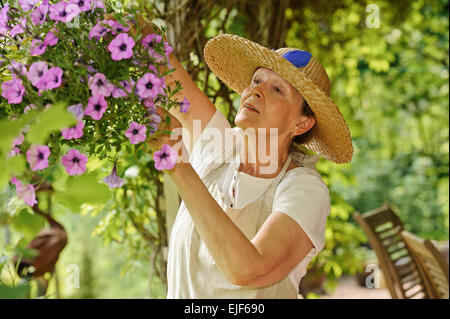 Glücklich senior Frau neigt dazu, die Blumen in einem hängenden Topf. Gibt es einen grünen Hintergrund unscharf Pflanzen und Holz Gartenstühle Stockfoto