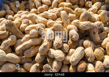 Monkey Nuts zu verkaufen - knacken die fragile brüchigen Schalen kommt man zu der Erdnuss Stockfoto