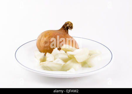 Einer einzigen isolierten Platte kochbereit gehackte Zwiebeln Stockfoto