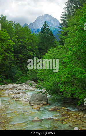 Die Koritnica-Fluss fließt durch das Loska Koritnica Tal im Nordwesten Sloweniens.  Die Julischen Alpen erheben sich über den Fluss. Stockfoto