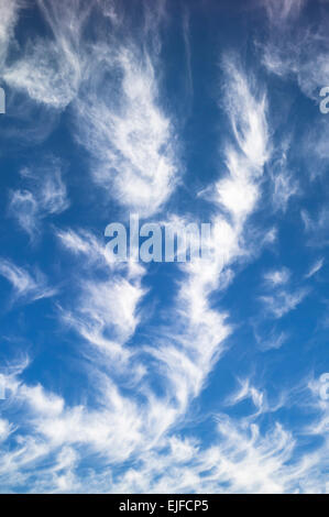 Cirruswolken am blauen Himmel Stockfoto