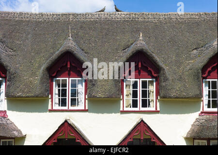 Dachgauben und Strohdach typisch urigen Berghütte Hause erstritt in South Devon, England, UK Stockfoto