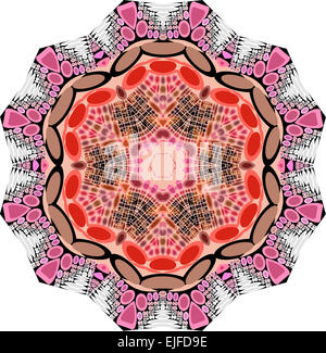 Ein Mandala Symbol Abbildung der Kreise in verschiedenen Größen und Farben. Stockfoto