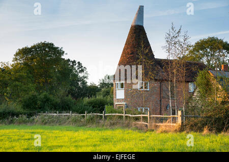 Traditionellen alten Kentish Oast Häuser, Hop Brennofen für Darren (trocknende) Hopfen für Bier in Kent, England, UK Stockfoto