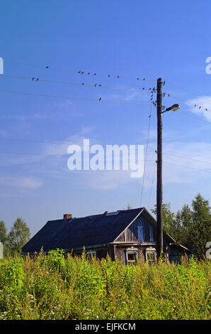 Landschaft im ländlichen Raum - sitzt der Vogelschwarm auf elektrischen Leitungen. Stockfoto