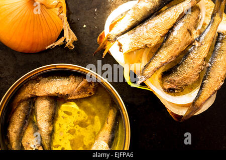 Dose Sardinen oder Sprotten und enge Sandwich mit Fisch und Zwiebeln Stockfoto