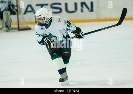 ORENBURG, Region ORENBURG, Russland - 13.03.2015: ein Eishockeyspiel zwischen den Teams der Kirow und Udmurtische Republik 3 Phase der allrussischen Wettbewerb der jungen Hockey-Spieler "Gold Puck". Stockfoto