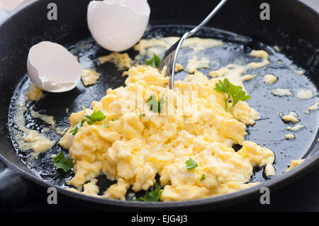 Eiern Rührei mit Sahne, in Butter gebraten. Alles Bio. Petersilie obenauf. Stockfoto