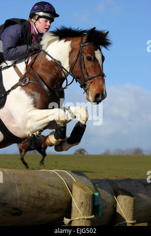 Pferd und Reiter Log cross Country Sprung springen Stockfoto