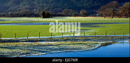 Gefrorene Wasserlachen in Ackerland Weiden des Conwy Tals an einem frostigen Wintertag im Snowdonia National Park Gwynedd Stockfoto