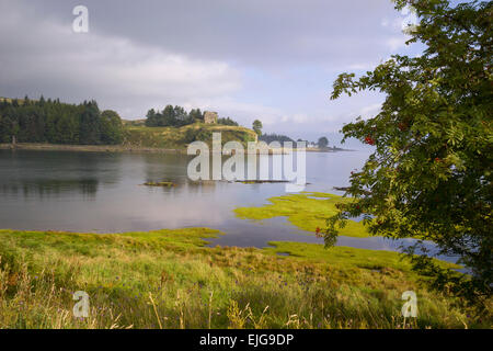 AROS Burg Salen von Ufer Insel Mull mit Eberesche Stockfoto