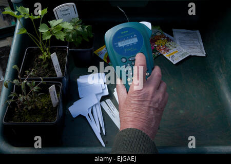 Drucken Etiketten für Gartenpflanzen, mit einem Bruder Hand Drucker in einem Gewächshaus. Auf der Bank in einem Blumenerde Tablett. Stockfoto