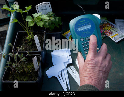 Drucken Etiketten für Gartenpflanzen, mit einem Bruder Hand Drucker in einem Gewächshaus. Auf der Bank in einem Blumenerde Tablett. Stockfoto