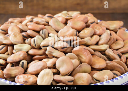 Dicke Bohnen Stockfoto