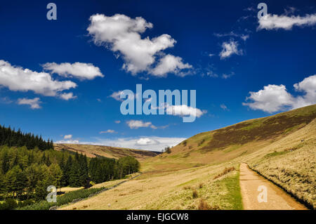 Flauschige weiße Wolken in einem tiefblauen Himmel im oberen Derwent Valley, Peak DIstrict, Derbyshire. Stockfoto