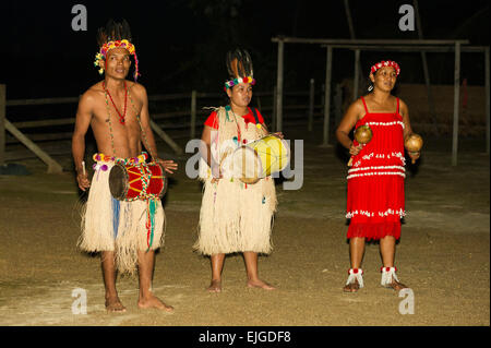 Musiker in einer indianischen Tanzgruppe, Apura, Suriname Stockfoto