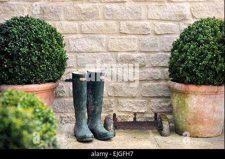 Topfpflanzen Buchsbaumhecken mit Gummistiefeln durch die Tür zu einer Cotswold Barn conversion Stockfoto