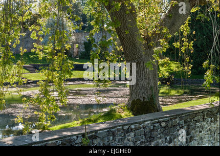 Aberglasney Haus und Garten, Carmarthen, Wales, UK. Der Garten mit Pool Stockfoto