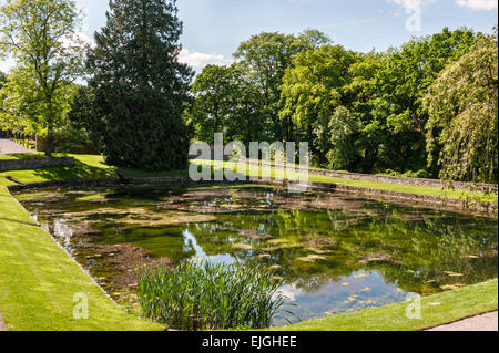 Aberglasney Haus und Garten, Carmarthen, Wales, UK. Der Garten mit Pool Stockfoto