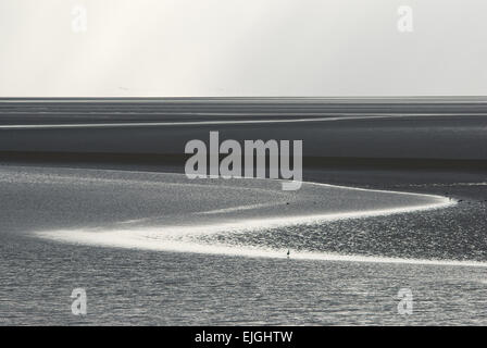 Licht, Kurven und Linien bilden mit einem Vogel unverwechselbare Muster in der Morecambe Bay in Lancashire und erzeugen ein minimales Bild fast in Schwarzweiß Stockfoto