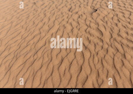 Dünen in der Sahara Stockfoto