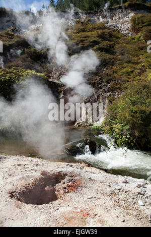 Steigt heißen Dampf aus dem Land. Wai-O-Tapu Geothermal Wonderland, Rotorua, Neuseeland. Stockfoto