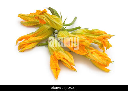 Haufen frische Zucchiniblüten. Stockfoto