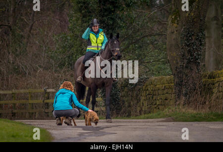 Gruß Horserider weibliche Person mit Hund mit der Spitze von ihren Hut, Yorkshire, Großbritannien Stockfoto