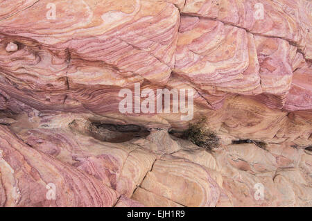 Bunten Sandstein-Waschanlagen - Valley Of Fire - Nevada Stockfoto