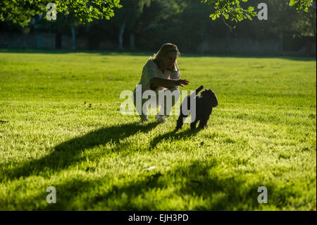 Eine Frau gekleidet in weißen geht ihr kleinen schwarzen Hund in einem Londoner Park in der Abenddämmerung im Sommer Stockfoto