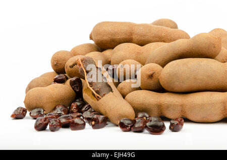 Tamarinde (Tamarindus Indica), beliebte Speisen von Südost-Asien, Nordafrika, Indien Stockfoto