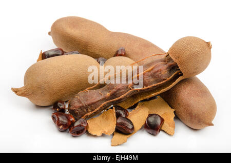 Tamarinde (Tamarindus Indica), beliebte Speisen von Südost-Asien, Nordafrika, Indien Stockfoto