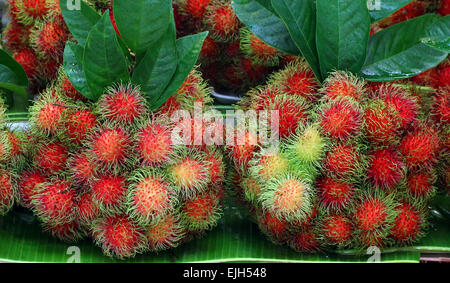 Haufen von Rambutan auf Markt-Tablett Stockfoto