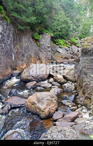 Leven Canyon im Norden Tasmaniens Stockfoto