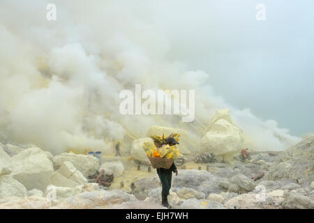 Bergleute mit Schwefel inmitten Schwefel Gas, Ijen Vulkan, Ost-Java, Indonesien Stockfoto