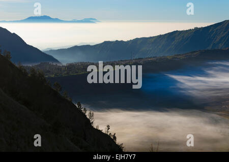 Rand des Tengger Caldera, Bromo Tengger Semeru Nationalpark, Ost-Java, Indonesien Stockfoto