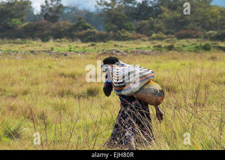 Dani Frau tragen Noken, eine verknotete Netto oder gewebte Tasche, Wamena, Papua, Indonesien Stockfoto