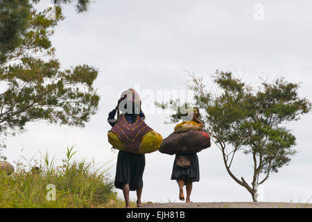 Dani Frau tragen Noken, eine verknotete Netto oder gewebte Tasche, Wamena, Papua, Indonesien Stockfoto