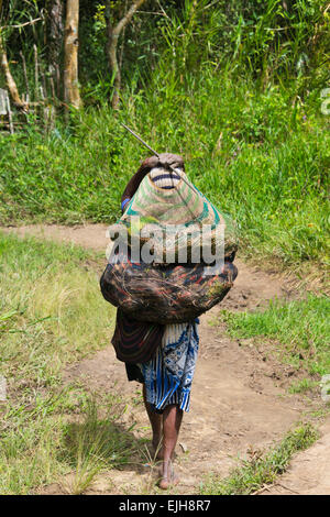 Dani-Frau, die die Noken, eine verknotete Netto oder gewebte Tasche, Papua, Indonesien Stockfoto