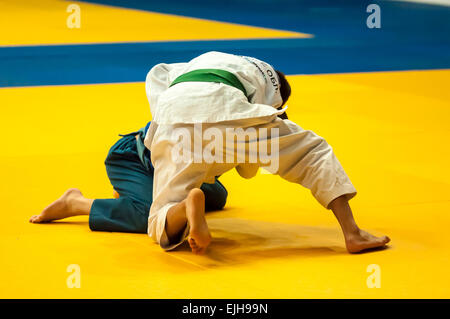 ORENBURG, ORENBURG Region, Russland, 29. Oktober 2014 Jahr. All-Russischen Judo-Turnier in Erinnerung an Viktor Chernomyrdin. Zwei judoka Stockfoto