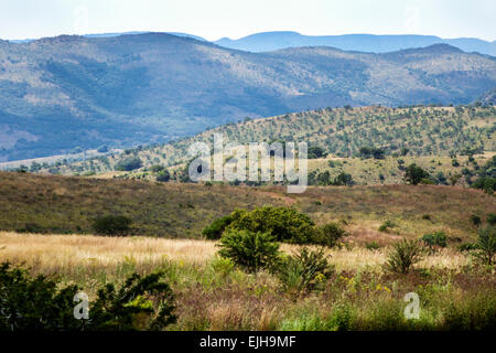 Johannesburg Südafrika, Maropeng Visitors Center, Zentrum, Hominin, Hominidenort, menschlicher Vorfahr, Wiege der Menschheit Weltkulturerbe, Aussicht, Natur, Natu Stockfoto