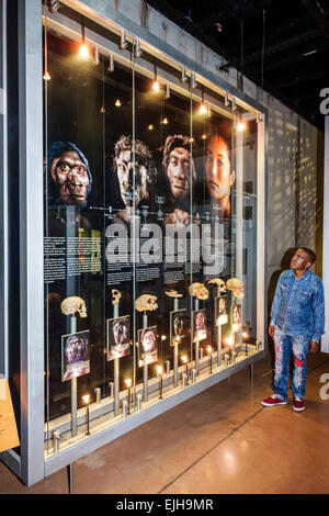 Johannesburg Südafrika, Maropeng Visitors Center, Zentrum, Hominin, Hominidenstätte, menschlicher Vorfahr, Wiege der Menschheit, Weltkulturerbe, Tumulus-Gebäude Stockfoto