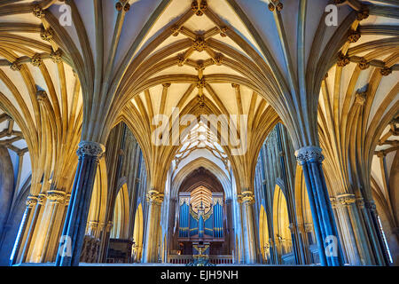 Innen- und Organ der mittelalterlichen Brunnen-Kathedrale gebaut in den frühen englischen gotischen Stil im Jahre 1175, Wells, Somerset, England Stockfoto