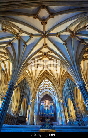 Innen- und Organ der mittelalterlichen Brunnen-Kathedrale gebaut in den frühen englischen gotischen Stil im Jahre 1175, Wells, Somerset, England Stockfoto