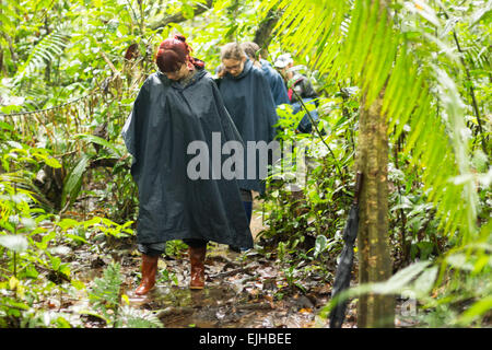 Gruppe von Touristen in Cuyabeno Wildlife Reserve Ecuador Gekleidet in Regen Ponchos Stockfoto