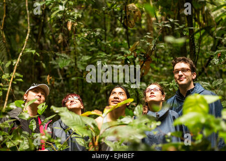 Gruppe von Touristen im ecuadorianischen Dschungel auf der Suche nach tierischen In Cuyabeno Wildlife Reserve Sucumbios Ecuador Stockfoto