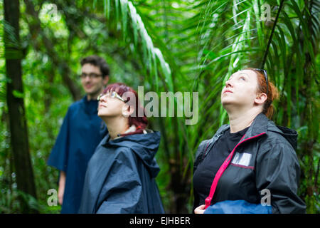 Gruppe von Touristen im ecuadorianischen Dschungel auf der Suche nach tierischen In Cuyabeno Wildlife Reserve Sucumbios Ecuador Stockfoto